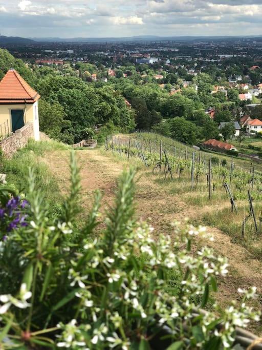 Wohlfuehl-Apartment Am Paradiesberg Radebeul Bagian luar foto